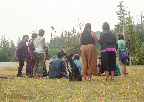 People both sitting and standing are gathered in a circle, turned away or with back to the camera in a grassy space dotted with yellow flowers. A forest is seen in the background. In the centre of the image is the only creature facing the camera, Marcus, a black dog with a white patch over his chest.
